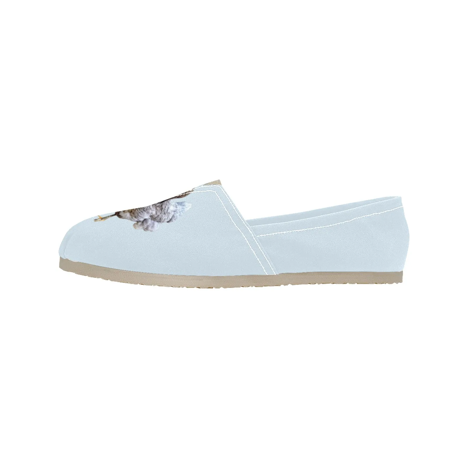 Espadrilles Canvas Chickens Light Blue Women's Canvas Slip-On Shoes(Model1206)