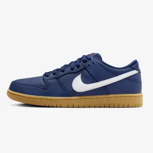 Nike SB Dunk Low Pro Skate Shoes