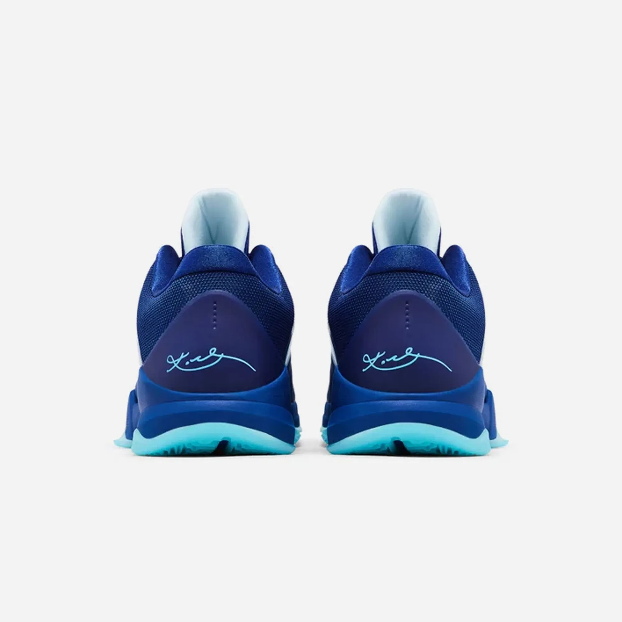 Zoom Kobe 5 Proto X Ray